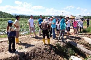 Discussion in the field.
