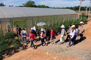 Entering the second greenhouse full of melons.